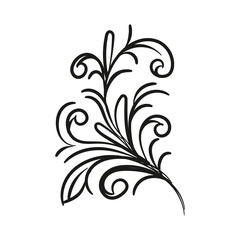 Decorative floral vector ornament on white background