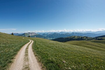 Fototapeta premium Winding trail through lush hills with mountain backdrop under a clear summer sky