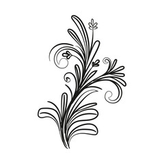 Decorative floral vector ornament on white background