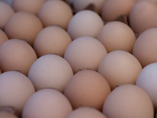 fresh organic eggs at market