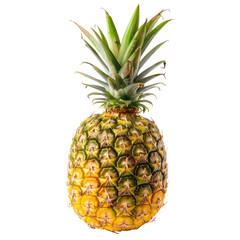 Fototapeta premium Single pineapple close-up
