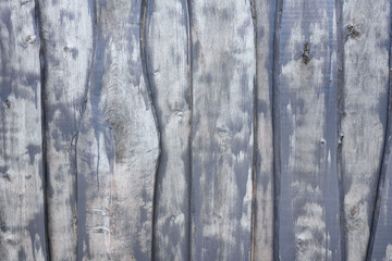 Fototapeta premium Fragment of a wooden fence made of uneven unedged boards. The surface of the wood is unevenly painted with gray paint. Background. Texture