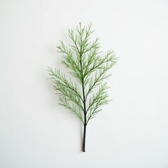 Fototapeta premium Minimalist sprig of faux plants with light green delicate foliage on dark stem. Artificial plant branch offers simple, elegant decorative accent for home decor, weddings, parties, craft projects.