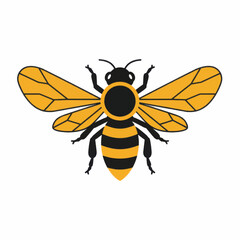 Vibrant Honeybee Illustration with Detailed Wings and Body