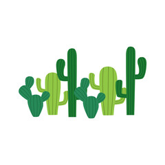 A charming collection of green cactus plants with ribbed textures, showcasing a variety of shapes and sizes against a clean white background.