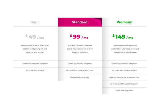 Subscription Plan Infographic Layout