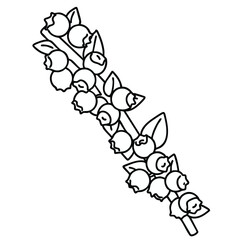 A Bunch of Blueberries Outline for a Coloring Book on a Transparent Background