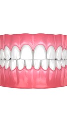 Obraz premium Healthy teeth and gums