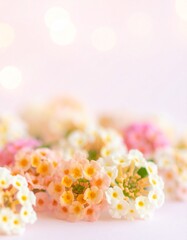 Lantana flower background