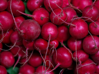 fresh red radishes at organic market