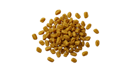Fenugreek Seeds Isolated on White Background