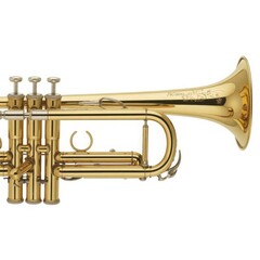 Obraz premium Gleaming brass musical instrument trumpet gold