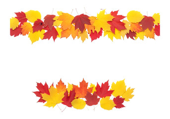 Festive autumn leaf border design elements for seasonal decorations and fall themed projects transparent background