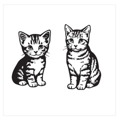 A young, beautiful black and white kitten with adorable eyes is sitting on a white background