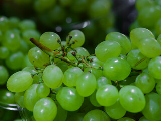 fresh grapes at organic market