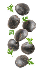 Fresh purple potatoes with parsley falling on white background