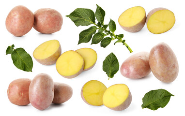 Fresh raw potatoes with green leaves isolated on white, collage