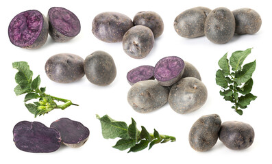 Fresh purple potatoes with green leaves isolated on white, collage