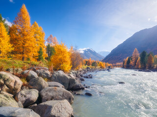 Autumn landscape in Switzerland. Sunrise in the mountains. Fog and fall forest. Blue mountain river. Beautifull view of the mountain valley. Photo for background, wallpaper, postcards.