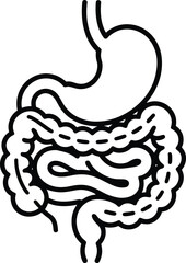 Naklejka premium Mapping the digestive tract: a simple vector illustration of the human digestive system.