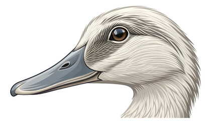 Close-up profile portrait of a light-colored duck head with detailed feathers and beak