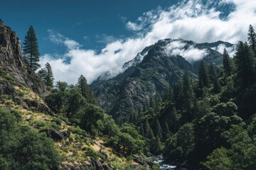 Obraz premium Mountainous valley scene with lush greenery and clouds