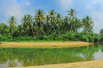 Serene Beach with Lush Palm Trees and Calm River Reflection