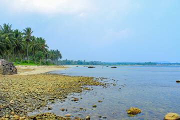 Serene Beach with Palm Trees and Clear Water on Tropical Shoreline