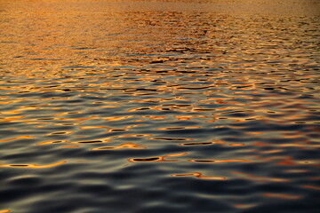 オレンジ色に染まる水面