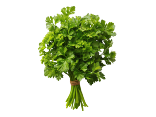 Tied bunch of fresh green curly parsley with twine against a black background herb, Isolated On Png Transparent Background