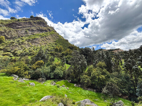 Green mountains with dramatic clouds and eucalyptus trees in the foreground