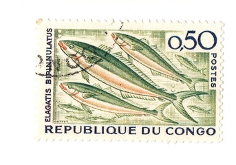 A vintage postage stamp from the Republic of Congo.
