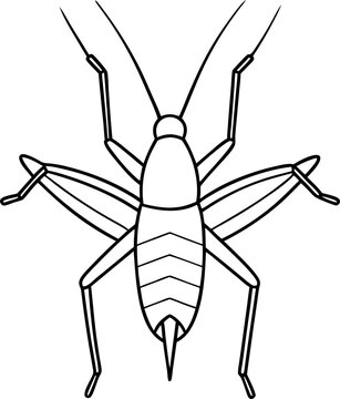 grasshopper line , grasshopper cartoon