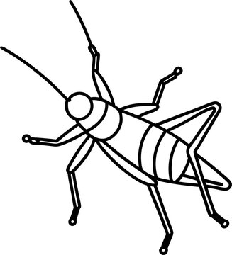 grasshopper line , grasshopper cartoon