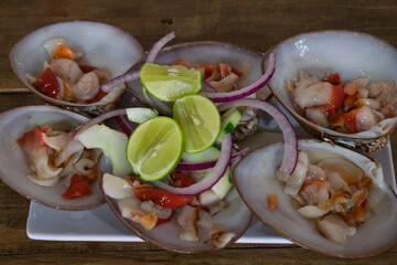 ALMEJAS CHOCOLATAS SEA FOOD MARISCOS FRESCOS EN LA CONCHA OSTRAS