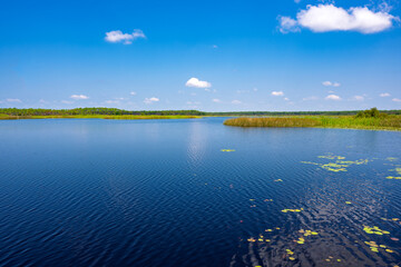 landscape st. marks wildlife refuge water lilies clouds tree line