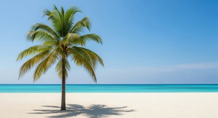 Fototapeta premium A vibrant image of a palm tree casting a shadow on a sandy beach with the ocean in the background.