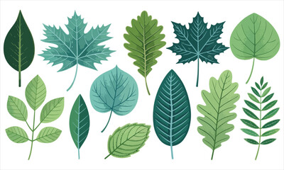 Botanical Leaf Clipart Bundle
