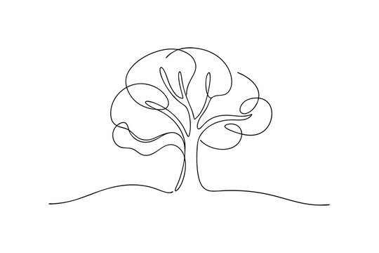 Single line drawing a tree with a rounded canopy visible roots Continous line continuous