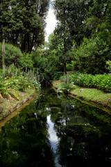 A leap into history in a beautiful Tuscan home
