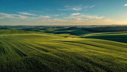 Fototapeta premium Rolling green fields meet a clear blue sky