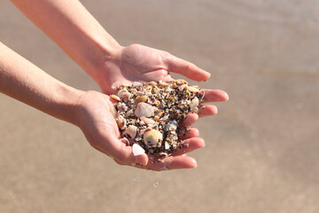 Close-up of female hands holding a handful of shells and sea sand. Vacation at sea, seaside resort. Girl holding sea shells in her hands. Hands on the background of sea waves. Beach