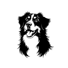 Elegant canine portrait a black and white design showcases a loyal companion expressive features