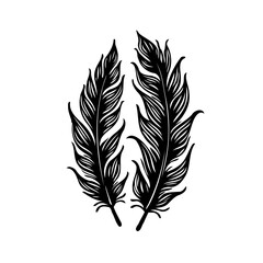 Obraz premium Ethereal dance of two feathery forms showcasing fine artistry with intricate plume details for