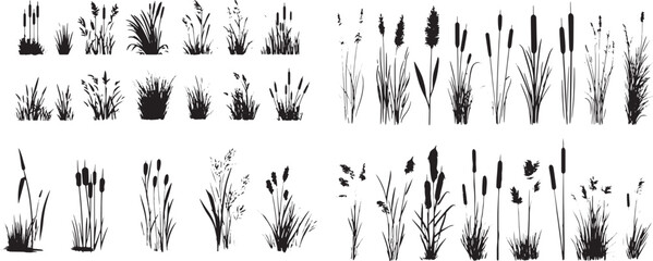 Abstract vector set of black silhouettes of grass, reeds, and cattails on a white background. Hand-drawn in a simple style illustration.eps