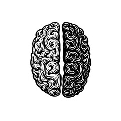 Intricate brain illustration showcasing intellect cognitive prowess and complex thought patterns
