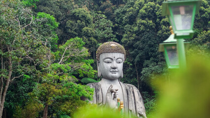 Giant Buddha Statue in the Middle of Tropical Forest, Peaceful Spiritual Landscape in Asia