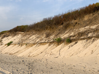 Sloping coastal dunes show layers of sand and vegetation