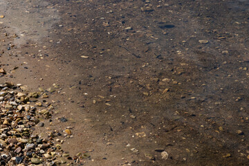 Close-up of shallow river water with pebbles and small fish visible under the surface. Natural freshwater habitat, clear water texture, and riverbank stones. Concept of nature and ecology.