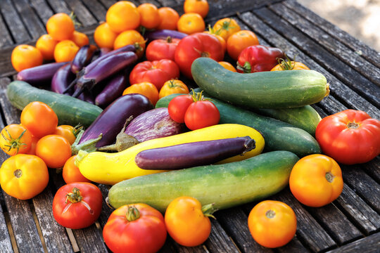 L&eacute;gumes tomates concombre, courgettes bio issus de l'agriculture biologique et &eacute;quitable